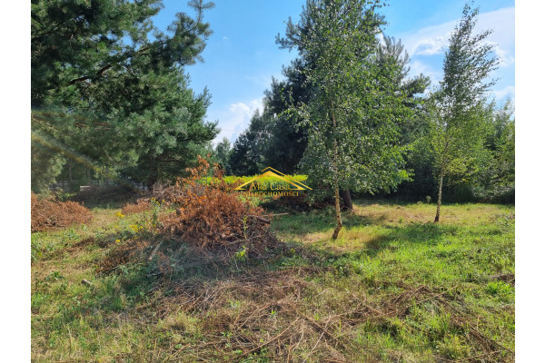 grodziski, Żabia Wola, Zalesie, Budowlana blisko Lasu